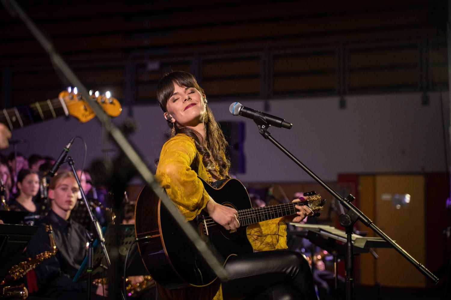 serenade-slovenskih-popevk-rudi-bucar