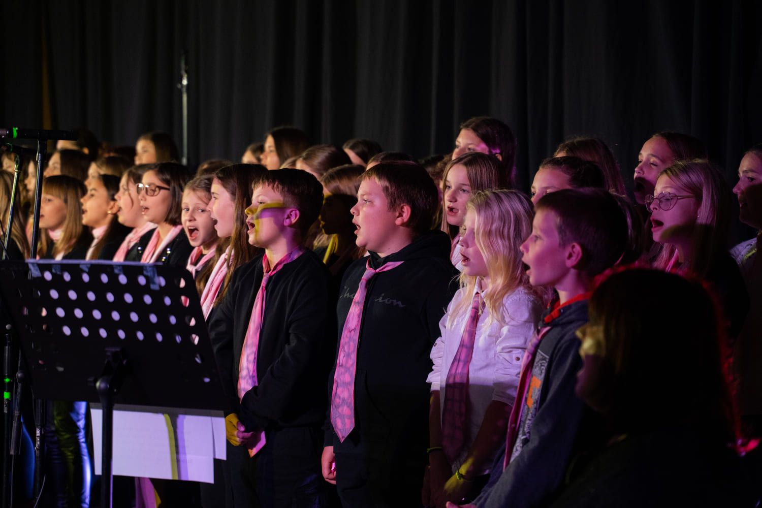 serenade-slovenskih-popevk-rudi-bucar