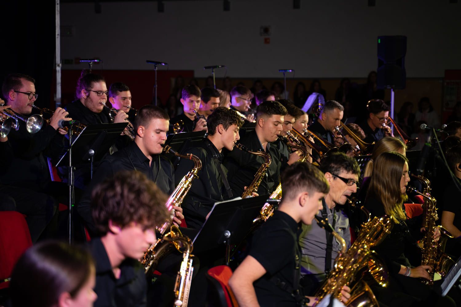 serenade-slovenskih-popevk-rudi-bucar