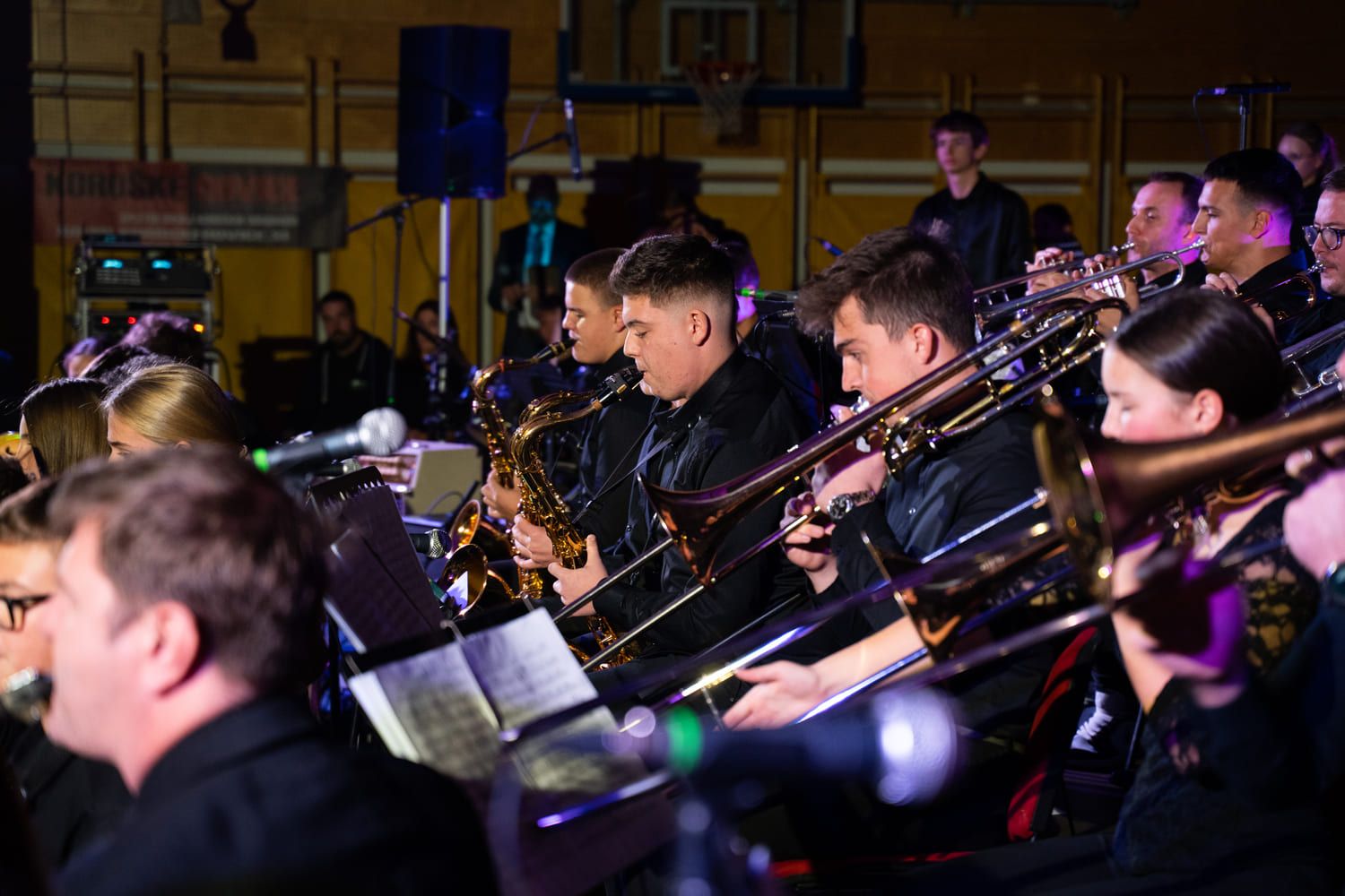 serenade-slovenskih-popevk-rudi-bucar