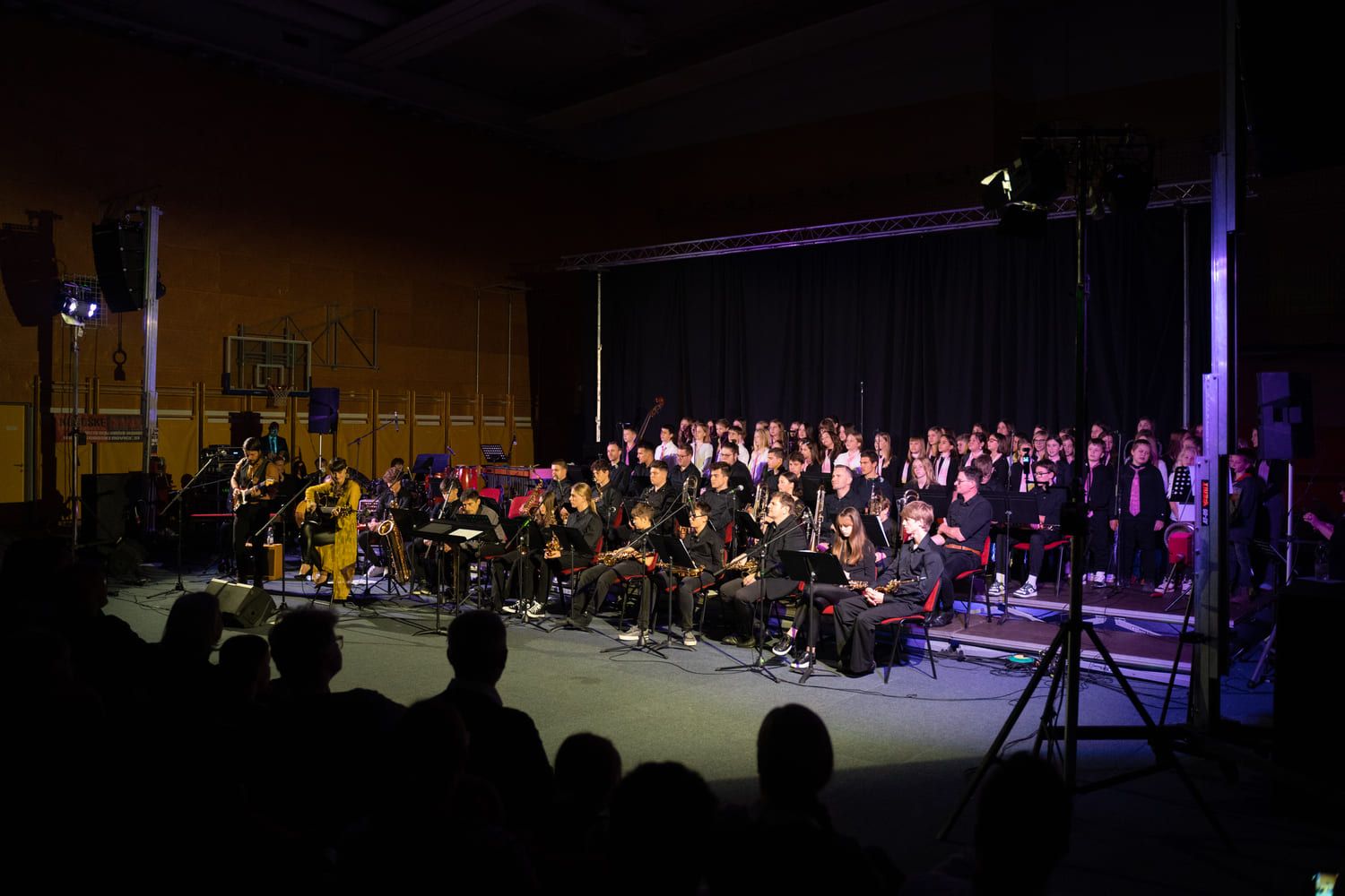 serenade-slovenskih-popevk-rudi-bucar