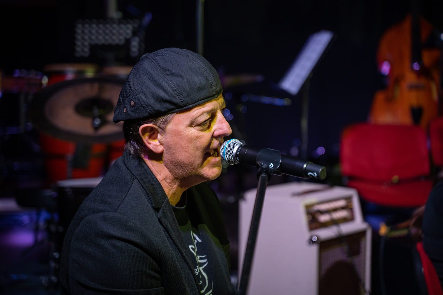 serenade-slovenskih-popevk-rudi-bucar