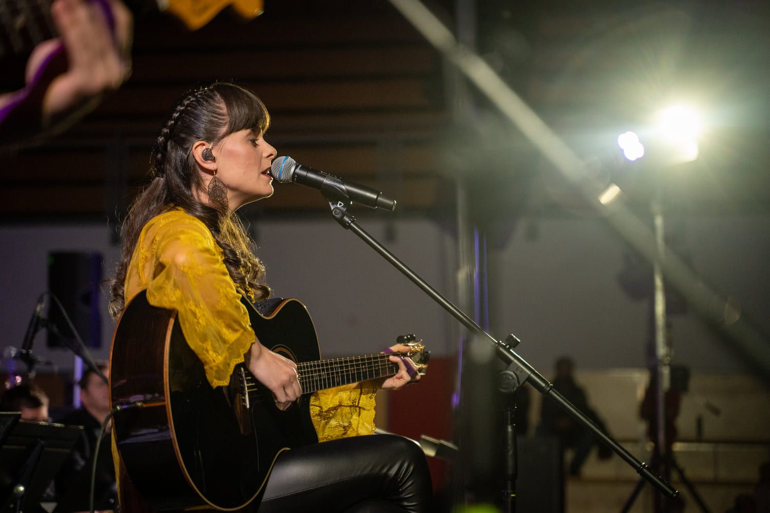 serenade-slovenskih-popevk-rudi-bucar