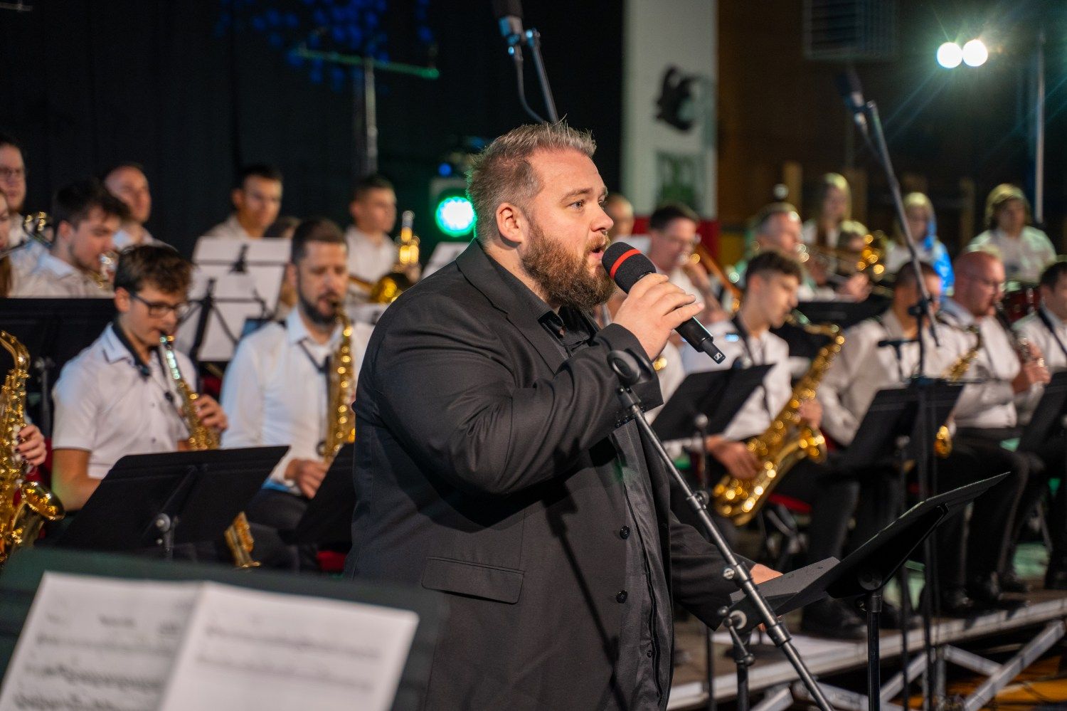 serenade-slovenskih-popevk-rudi-bucar