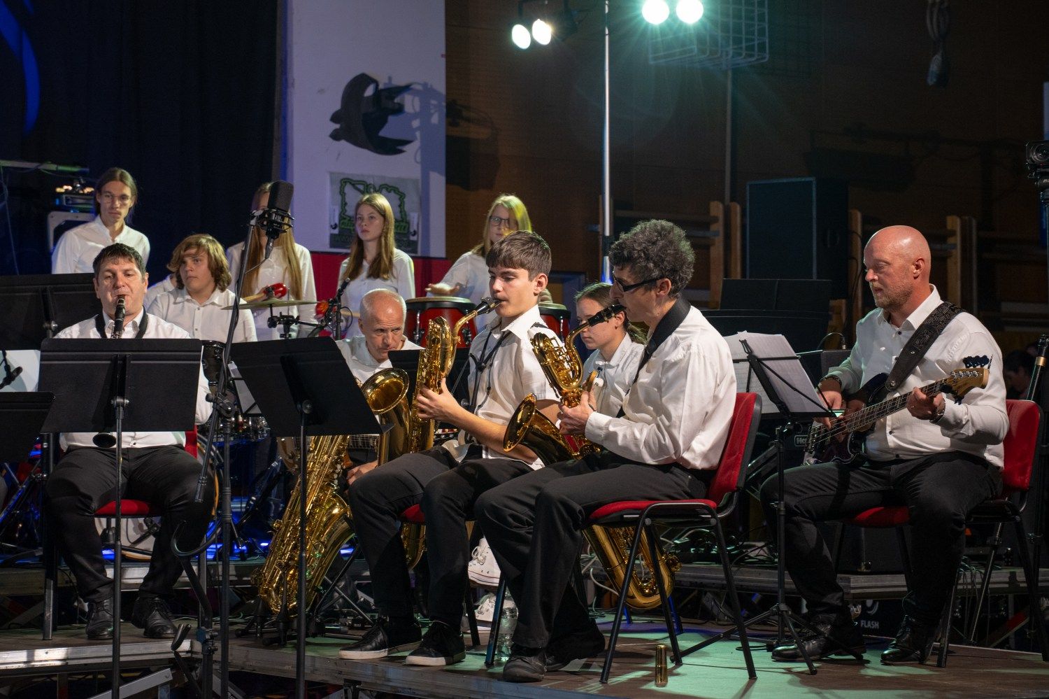 serenade-slovenskih-popevk-rudi-bucar