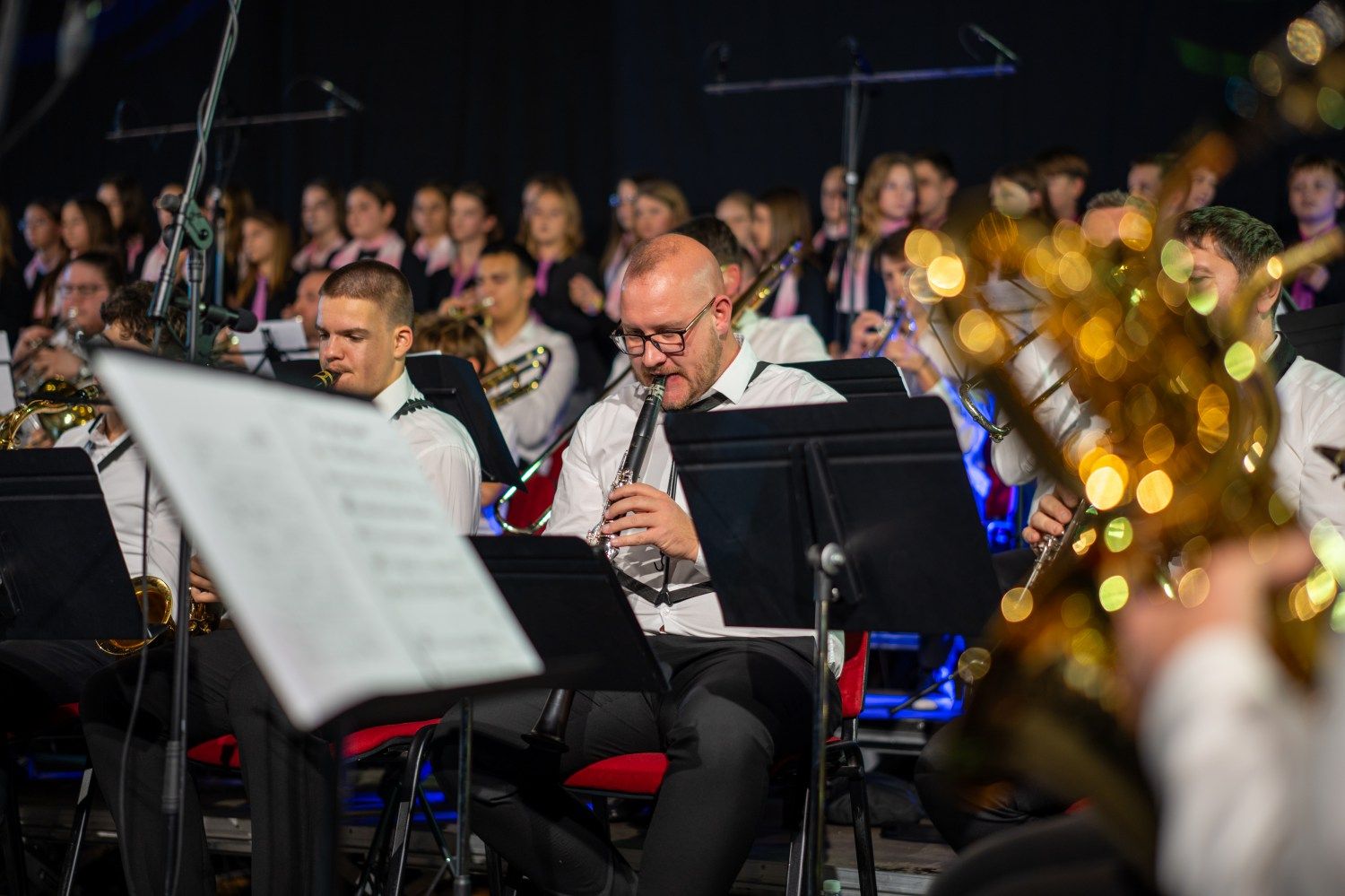 serenade-slovenskih-popevk-rudi-bucar