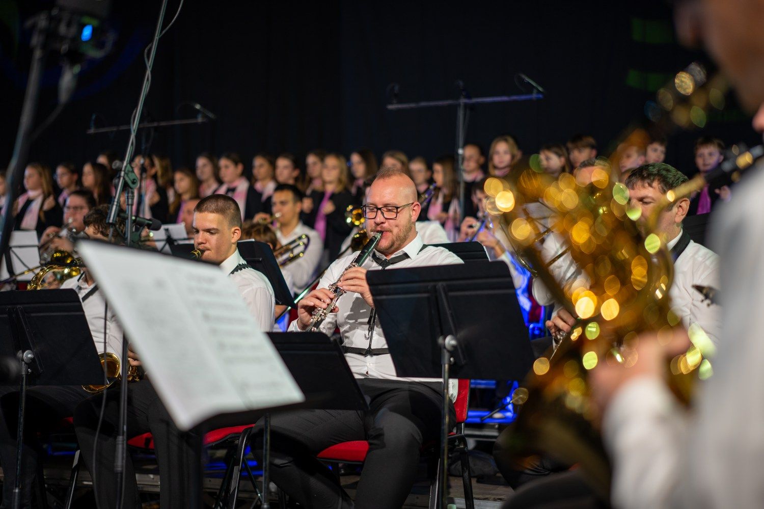 serenade-slovenskih-popevk-rudi-bucar