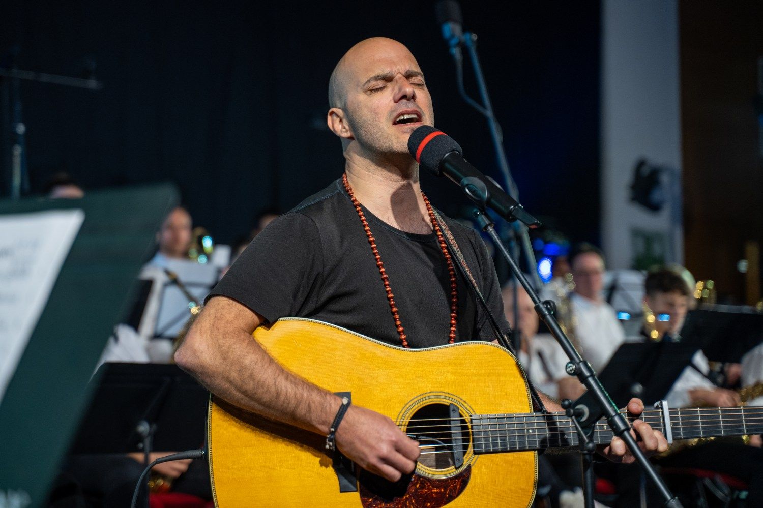 serenade-slovenskih-popevk-rudi-bucar