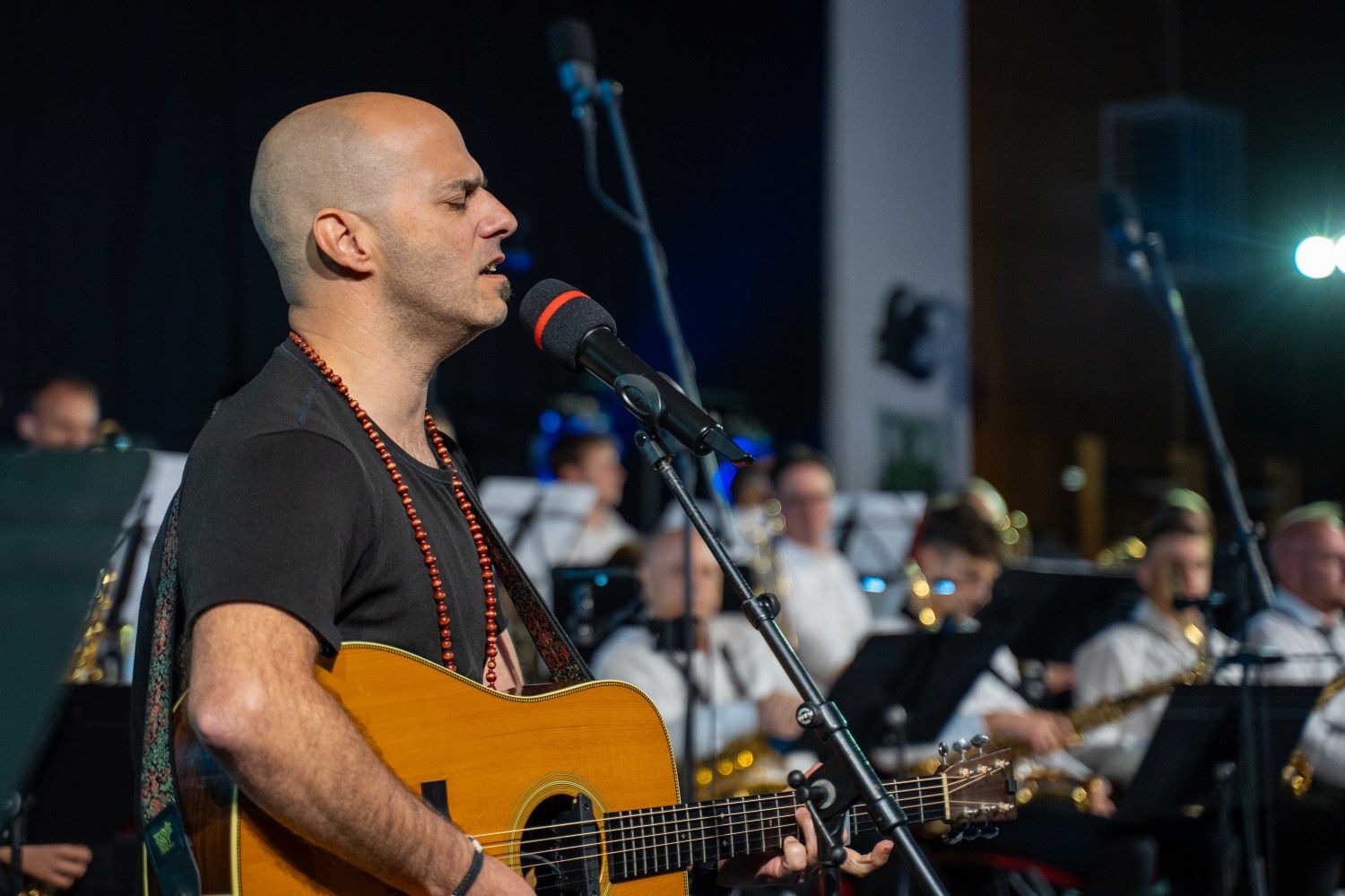 serenade-slovenskih-popevk-rudi-bucar