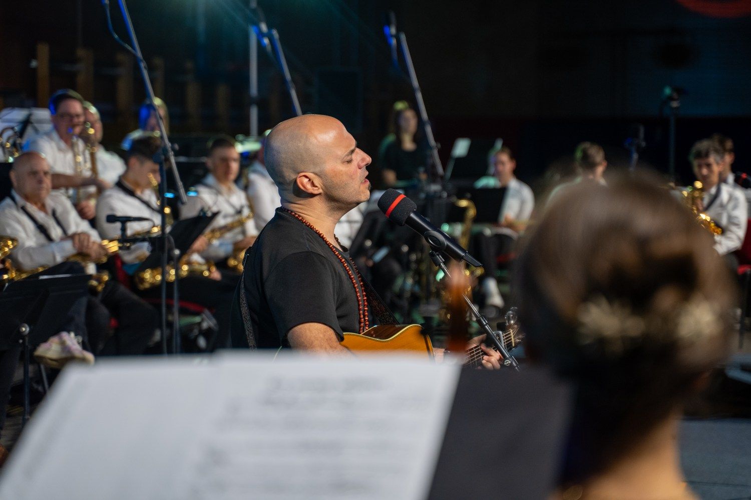 serenade-slovenskih-popevk-rudi-bucar