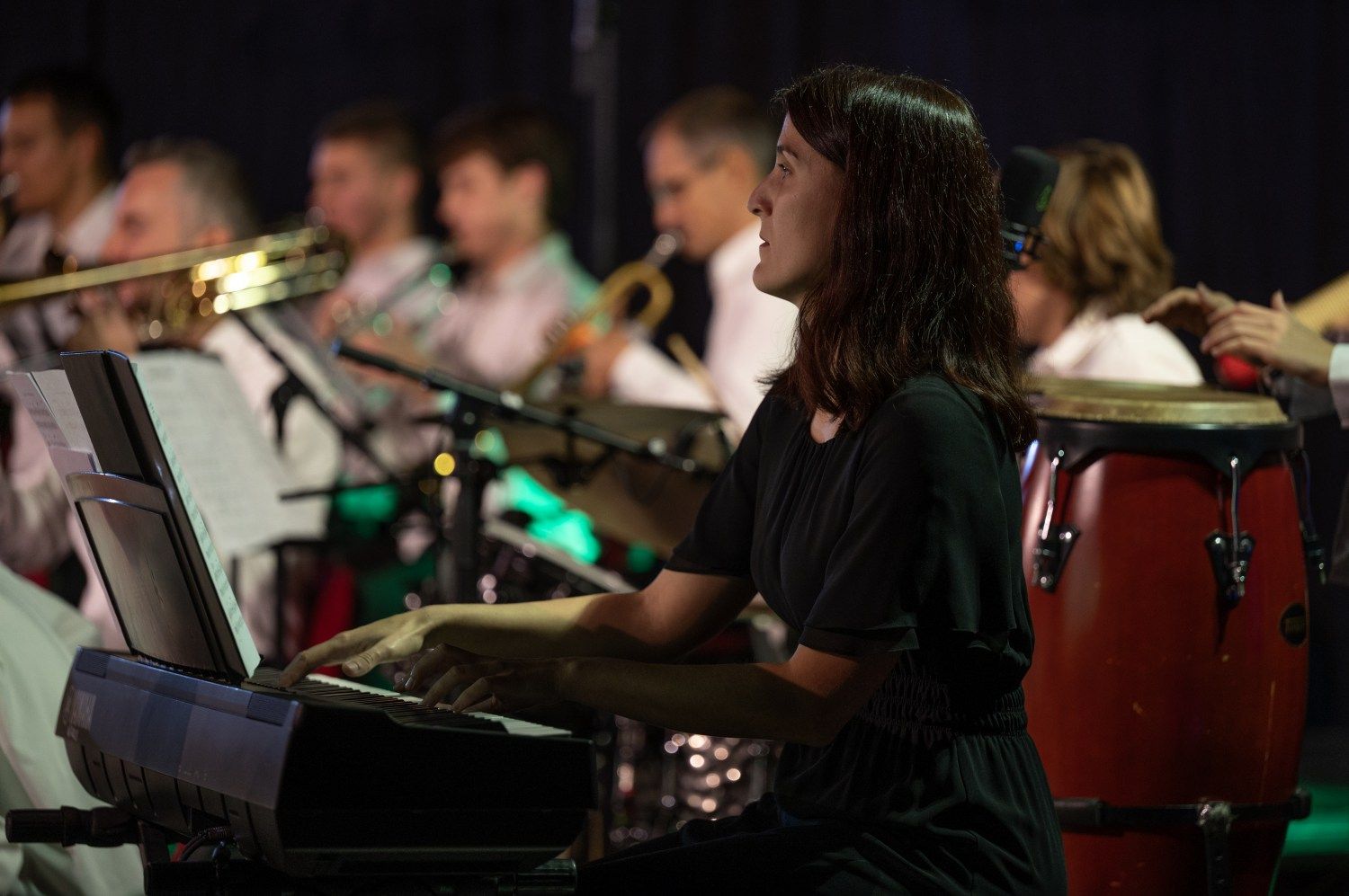 serenade-slovenskih-popevk-rudi-bucar