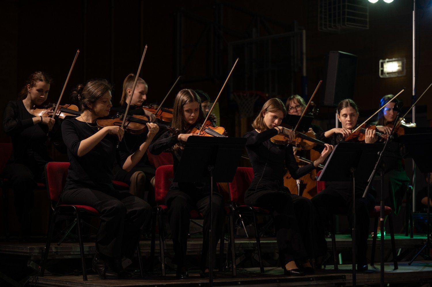 serenade-slovenskih-popevk-rudi-bucar