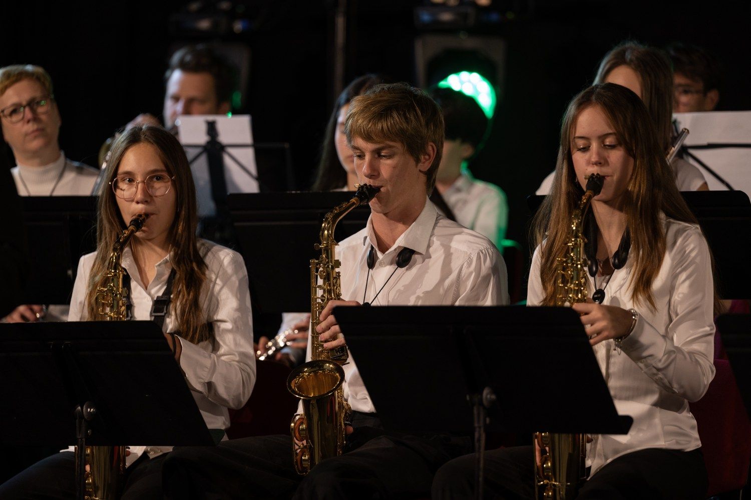 serenade-slovenskih-popevk-rudi-bucar