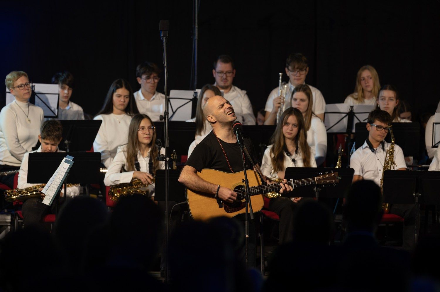 serenade-slovenskih-popevk-rudi-bucar